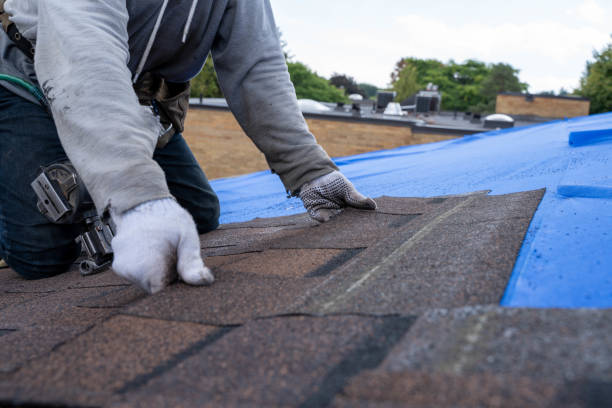 Best Roof Leak Repair  in Lawrencevle, IL