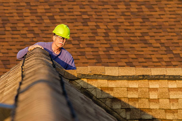 Roof Gutter Cleaning in Lawrenceville, IL